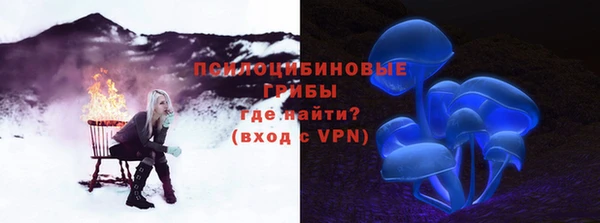 бошки Нестеровская