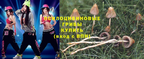бошки Нестеровская