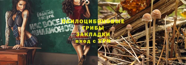 бошки Нестеровская