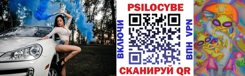 Псилоцибиновые грибы прущие грибы  где можно купить   мега   Алагир 